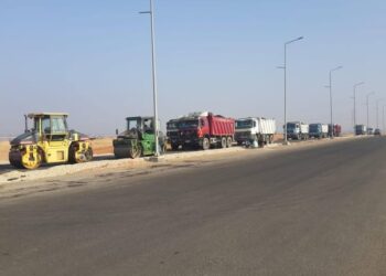 سفنكس الجديدة