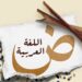 حل تقييمات عربي أولى إعدادي الإسبوع الخامس الترم الثاني حل تقييمات عربي أولى إعدادي الإسبوع الخامس