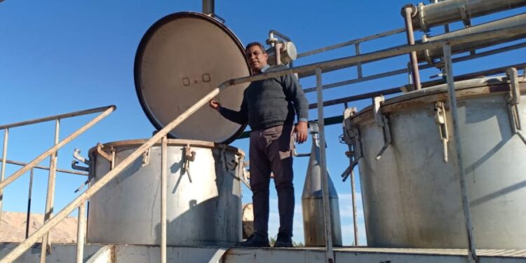 معايير الجودة في النباتات الطبية