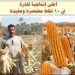 زراعة الذرة الشامية .. 10 نصائح للحصول على أعلى إنتاجية زراعة الذرة الشامية .. 10 نصائح للحصول على أعلى إنتاجية