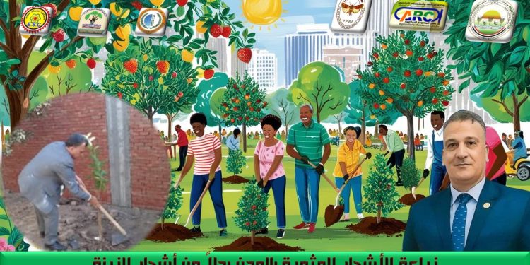 د. مجدي السماحى يكتب عن زراعة الأشجار المثمرة بالمدن بدلاً من أشجار الزينة د. مجدي السماحى يكتب عن زراعة الأشجار المثمرة بالمدن بدلاً من أشجار الزينة