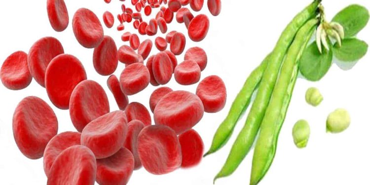 أنيميا الفول .. للمرضى 5 أطعمة يجب تجنبها لحماية أنفسهم أنيميا الفول