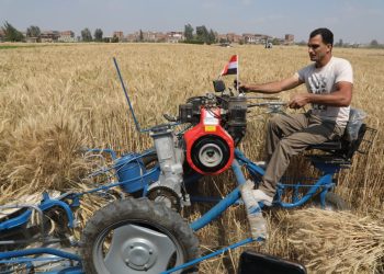 تقليل فاقد محصول القمح