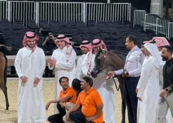 "خيل الجزيرة 25".. أجواء رائعة ومشاركات ممتعة