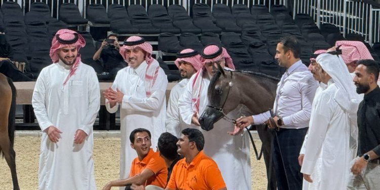 "خيل الجزيرة 25".. أجواء رائعة ومشاركات ممتعة