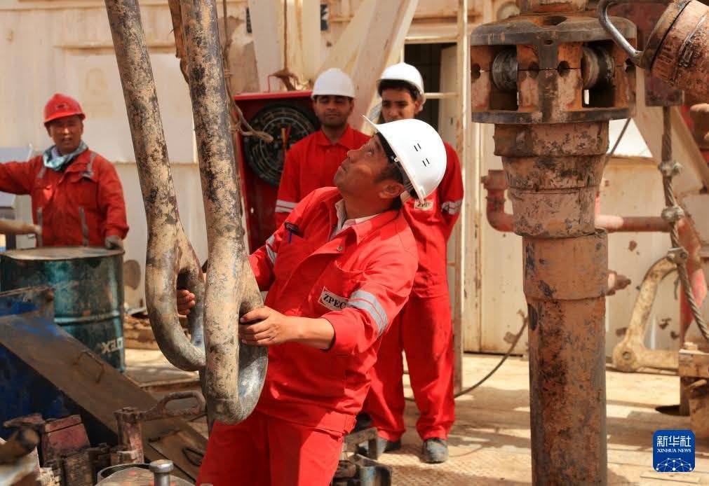 130 خبير صيني يساهمون في زراعة القمح في صحراء مصر زراعة القمح