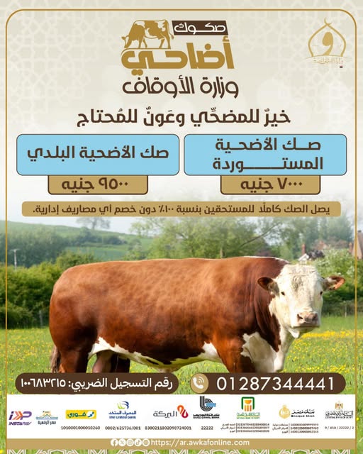 صكوك أضاحي وزارة الأوقاف