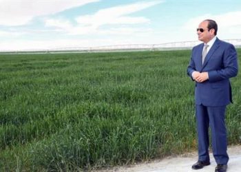 مستقبل الزراعة في مصر