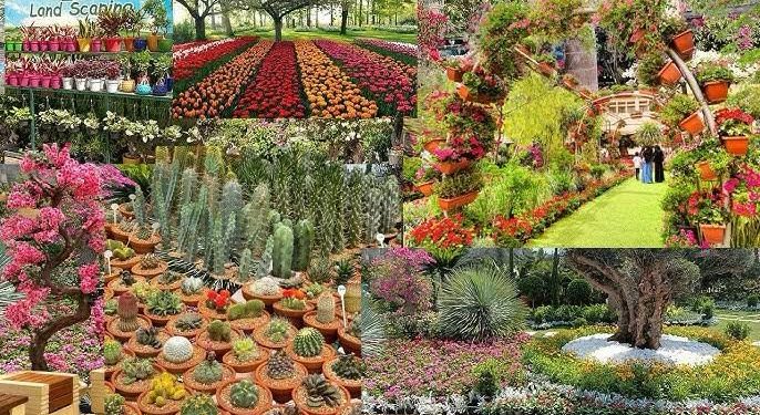 معرض زهور الربيع 2025 .. الزراعة تقرر تمديده فعالياته حتى هذا التاريخ معرض زهور الربيع 2025