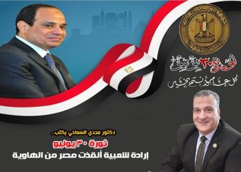 ثورة 30 يونيو