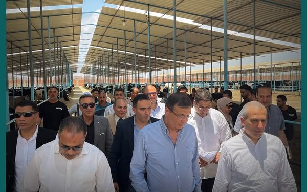 البنك الزراعي يدعم مربي الثروة الحيوانية في الشرقية بـ 395 مليون جنيه البنك الزراعي