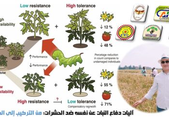 آليات دفاع النبات عن نفسه ضد الحشرات