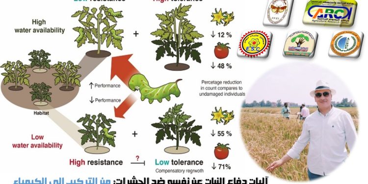 آليات دفاع النبات عن نفسه ضد الحشرات: من التركيب إلى الكيمياء آليات دفاع النبات عن نفسه ضد الحشرات