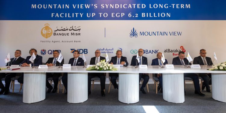 شركة ماونتن ڤيو