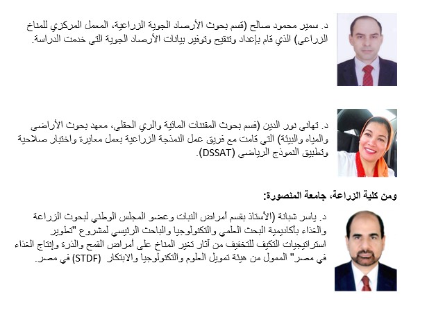 زيادة إنتاجية القمح 