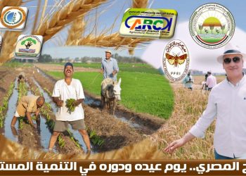 د.مجدي السماحي يكتب.. الفلاح المصري.. يوم عيده ودوره في التنمية المستدامة الفلاح المصري