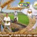 د.مجدي السماحي يكتب.. الفلاح المصري.. يوم عيده ودوره في التنمية المستدامة الفلاح المصري