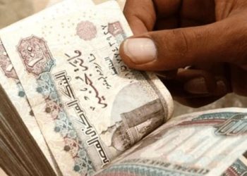 زيادة المعاشات