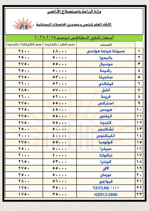 أسعار تقاوي البطاطس 2026