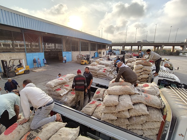 أسعار تقاوي البطاطس 2026