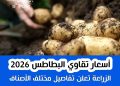 أسعار تقاوي البطاطس 2026