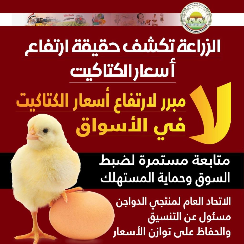 أسعار الكتاكيت