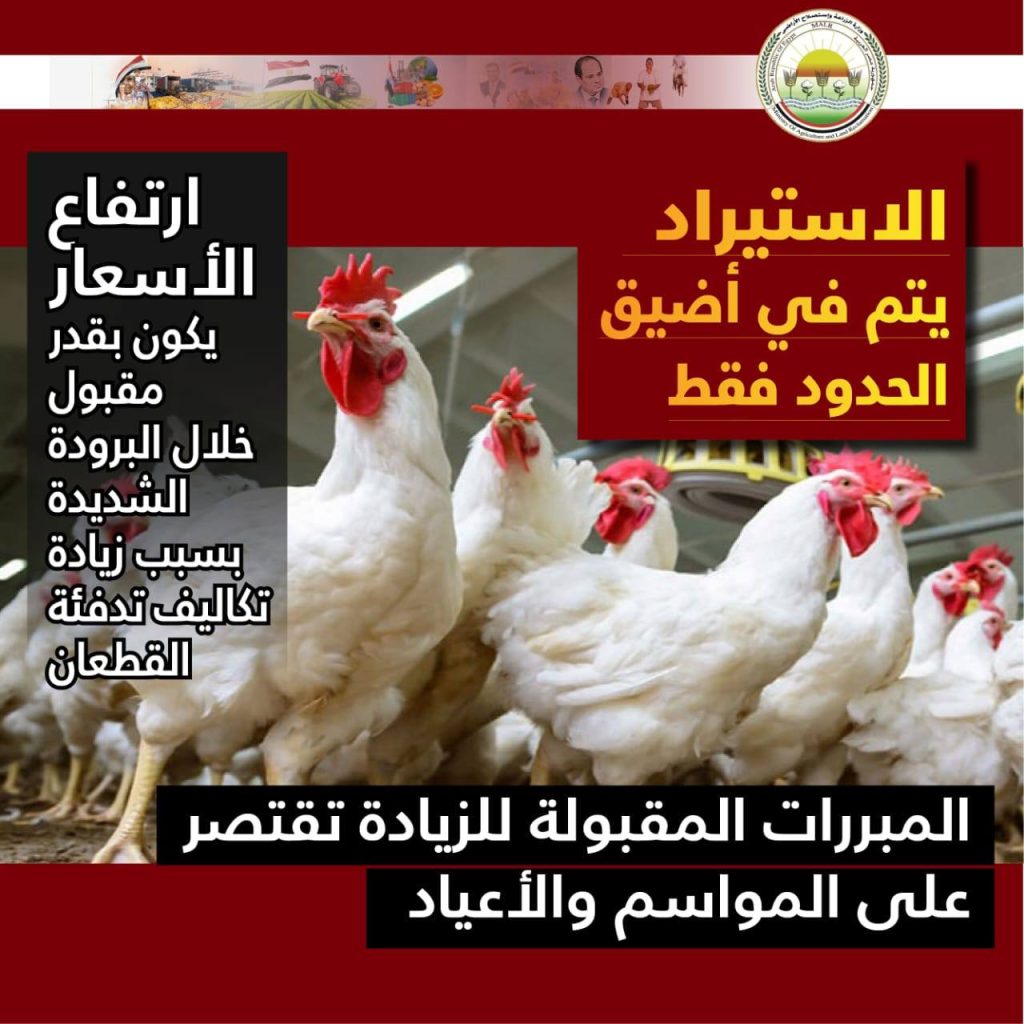 أسعار الكتاكيت