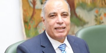 شتلات النخيل