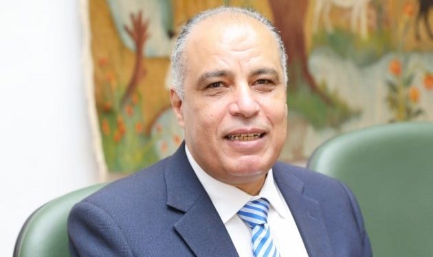 شتلات النخيل