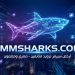 دليلك الشامل لنمو السوشيال ميديا في 2026: لماذا Smm Sharks هو الخيار الأفضل؟ Smm Sharks