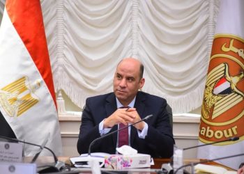 منحة العمالة غير المنتظمة 2026 .. وزارة العمل تعلن تفاصيل المنحة الجديدة