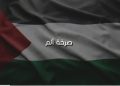 صرخة ألم.. يا فلسطين