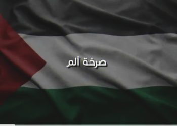 صرخة ألم.. يا فلسطين