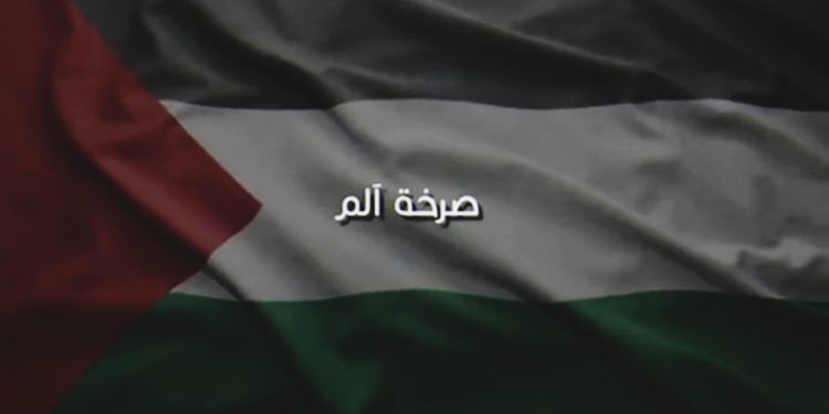 صرخة ألم.. يا فلسطين