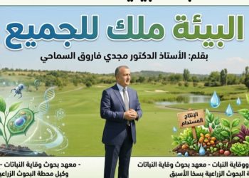 مجدي السماحي