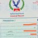 خطوات استخراج فيش جنائي أونلاين 2026 خطوات استخراج فيش جنائي أونلاين 2026